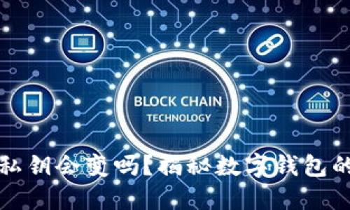 TP钱包的私钥会变吗？揭秘数字钱包的私钥管理