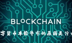数字货币本轮牛市的原因是什么？