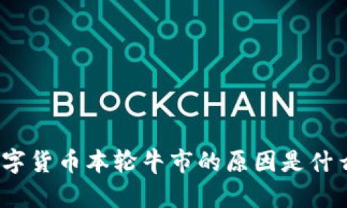 数字货币本轮牛市的原因是什么？