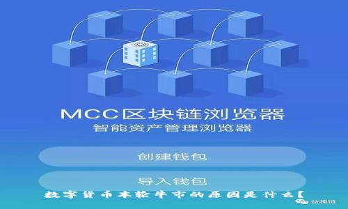 数字货币本轮牛市的原因是什么？