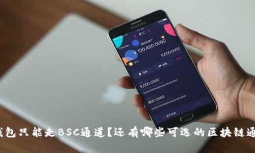 TP钱包只能走BSC通道？还有哪些可选的区块链通道？