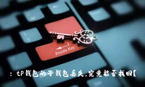 : tP钱包的子钱包丢失，究竟能否找回？