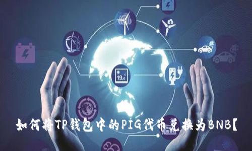 如何将TP钱包中的PIG代币兑换为BNB？