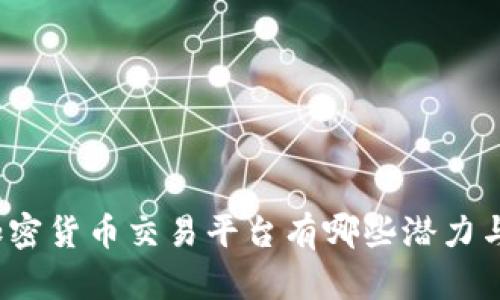 数字加密货币交易平台有哪些潜力与风险？