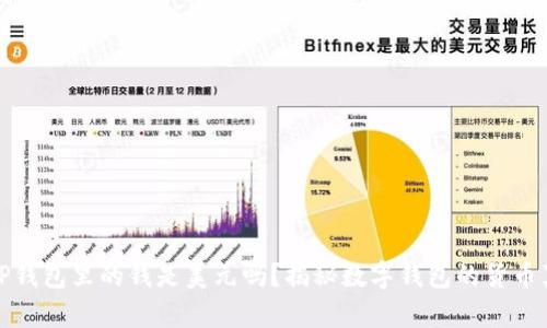 : TP钱包里的钱是美元吗？揭秘数字钱包的货币真相