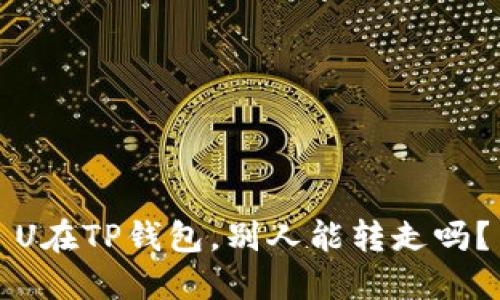 U在TP钱包，别人能转走吗？