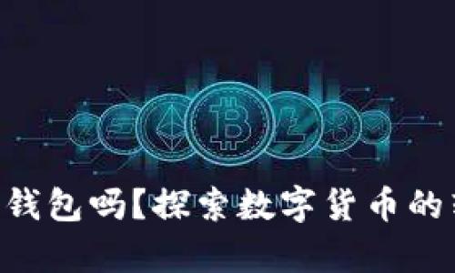LTC可以提到TP钱包吗？探索数字货币的转账与存储方式