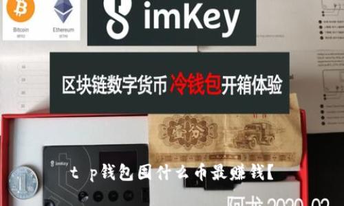 t p钱包囤什么币最赚钱？