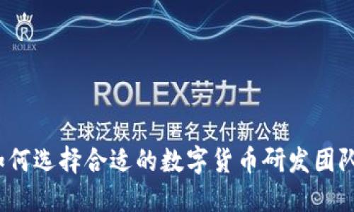 如何选择合适的数字货币研发团队？