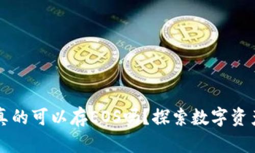 以太坊钱包真的可以存EOS吗？探索数字资产存储的真相