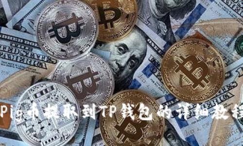 Pig币提取到TP钱包的详细教程