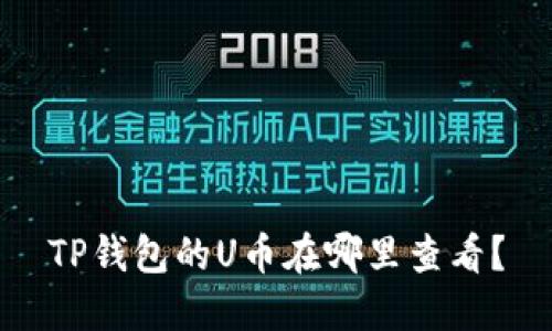 TP钱包的U币在哪里查看？