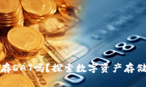 TP钱包能存DAT吗？探索数字资产存储的可能性