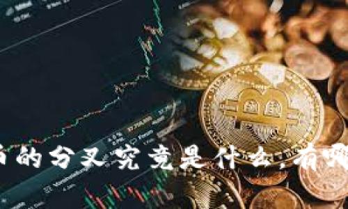 数字货币的分叉究竟是什么，有哪些影响？
