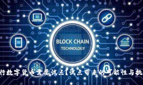 为什么央行数字货币需要试点？试点带来的可能性与挑战是什么？