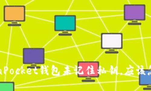  TokenPocket钱包未记住私钥，应该怎么办？