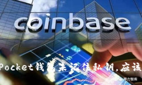  TokenPocket钱包未记住私钥，应该怎么办？