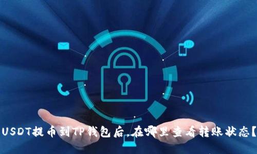 USDT提币到TP钱包后，在哪里查看转账状态？