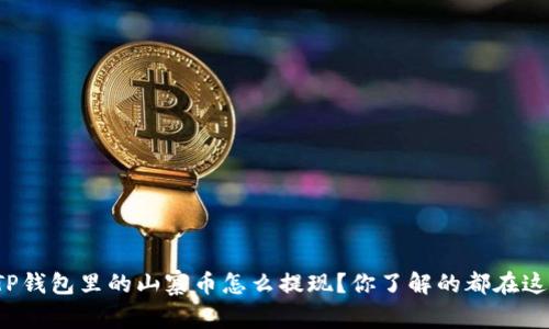 : TP钱包里的山寨币怎么提现？你了解的都在这里！