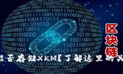 TP钱包能否存储XKM？了解这里的关键细节！