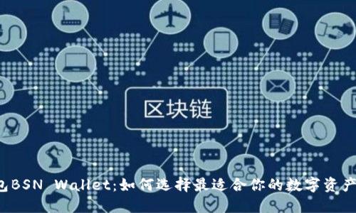 以太坊钱包BSN Wallet：如何选择最适合你的数字资产管理工具？