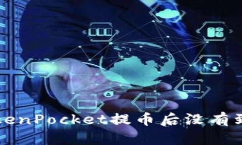 为什么我在TokenPocket提币后没有到账？该怎么办？