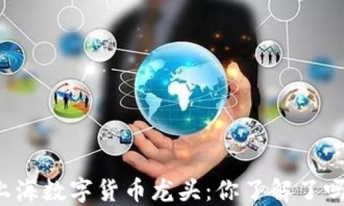 
上海数字货币龙头：你了解了吗？