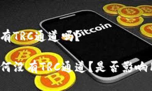 TP钱包没有TRC通道吗？

TP钱包为何没有TRC通道？是否影响用户体验？