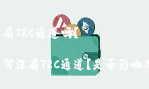 TP钱包没有TRC通道吗？

TP钱包为何没有TRC通道？是否影响用户体验？