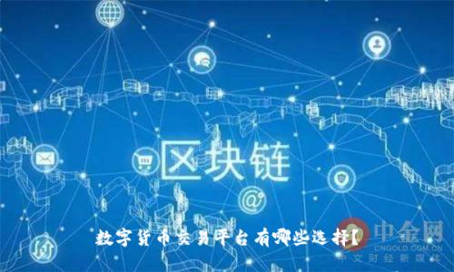 数字货币交易平台有哪些选择？
