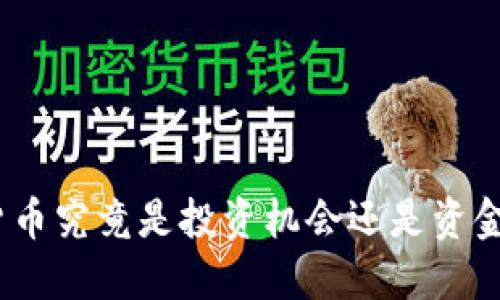 : 数字货币究竟是投资机会还是资金盘陷阱？