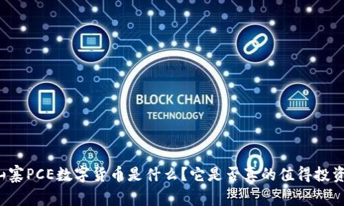 山寨PCE数字货币是什么？它是否真的值得投资？