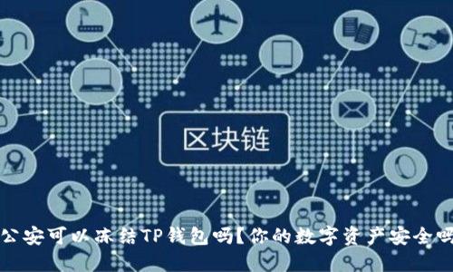  公安可以冻结TP钱包吗？你的数字资产安全吗？
