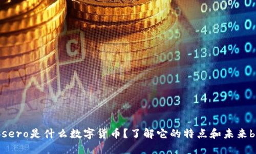 bsero是什么数字货币？了解它的特点和未来br