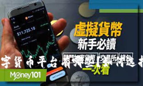 : 政府认可的数字货币平台有哪些？如何选择最适合自己的？