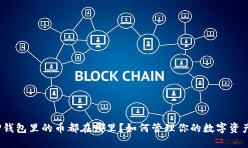 TP钱包里的币都在哪里？如何管理你的数字资产？