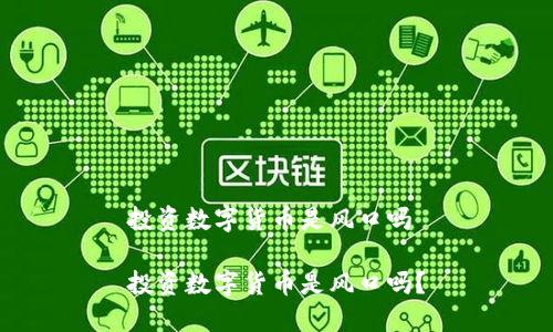 投资数字货币是风口吗

投资数字货币是风口吗？