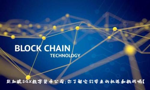 新加坡SGX数字货币公司：你了解它们带来的机遇和挑战吗？