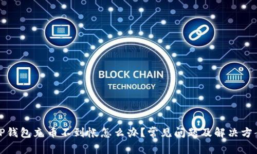 TP钱包充币不到帐怎么办？常见问题及解决方案