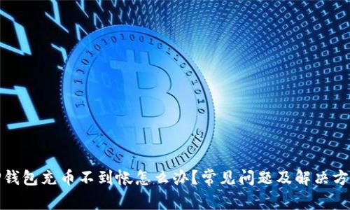 TP钱包充币不到帐怎么办？常见问题及解决方案