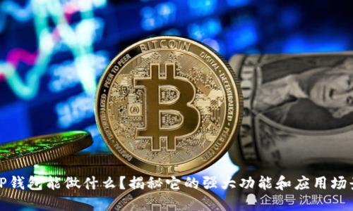 TP钱包能做什么？揭秘它的强大功能和应用场景