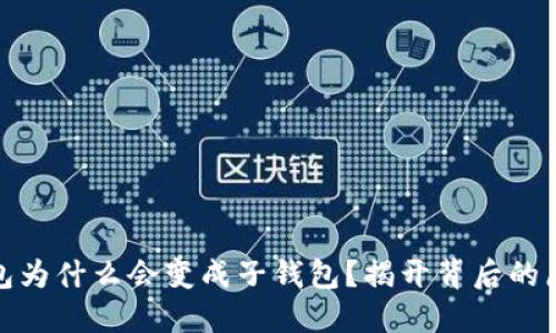 TP身份钱包为什么会变成子钱包？揭开背后的原因与影响