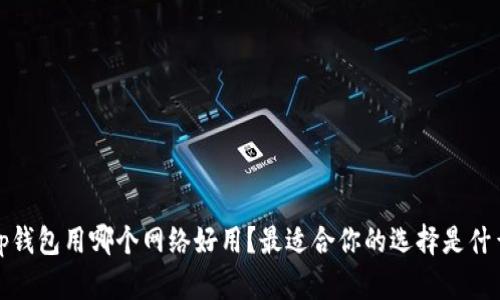 t p钱包用哪个网络好用？最适合你的选择是什么？