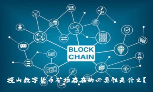 境内数字货币矿场存在的必要性是什么？