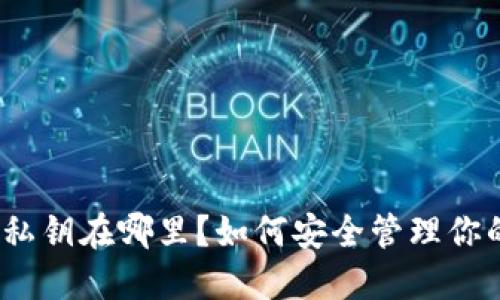 : TP钱包的私钥在哪里？如何安全管理你的数字资产？