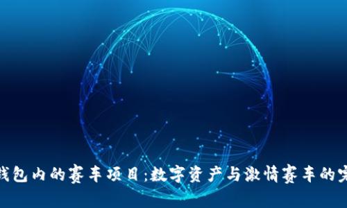 探索TP钱包内的赛车项目：数字资产与激情赛车的完美结合