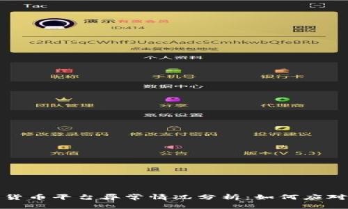 大型数字货币平台异常情况分析：如何应对突发风险