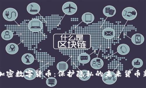 私人加密数字货币：保护隐私的未来货币新选择