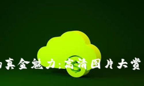 揭秘数字货币的真金魅力：高清图片大赏与市场前景分析