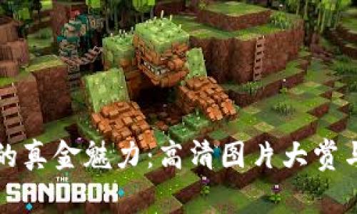 揭秘数字货币的真金魅力：高清图片大赏与市场前景分析